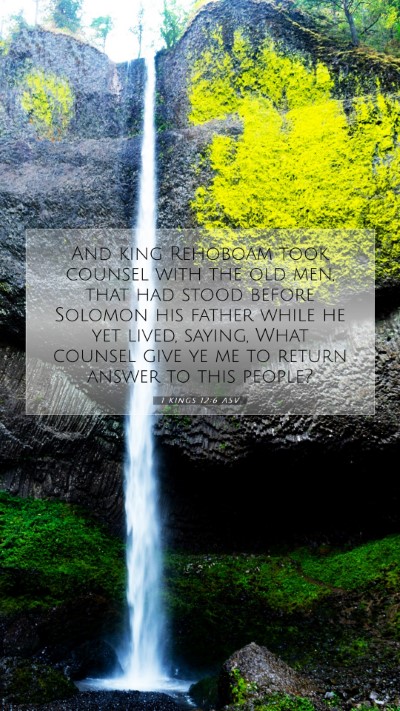 Picture 07 - 1 Kings 12:6 ASV Mobile Phone Wallpaper - And king Rehoboam took counsel with the old men, - Mobile Bible Verse Wallpaper