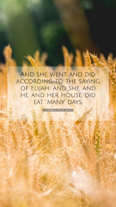 Picture 07 - 1 Kings 17:15 ASV Mobile Phone Wallpaper - And she went and did according to the saying of - Mobile Bible Verse Wallpaper