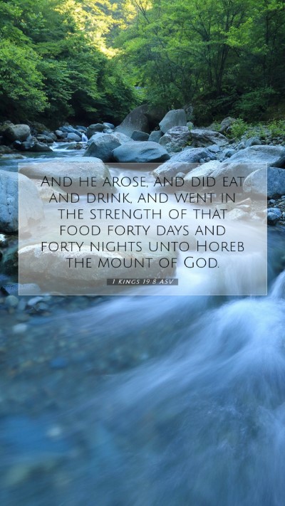 Picture 07 - 1 Kings 19:8 ASV Mobile Phone Wallpaper - And he arose, and did eat and drink, and went in - Mobile Bible Verse Wallpaper