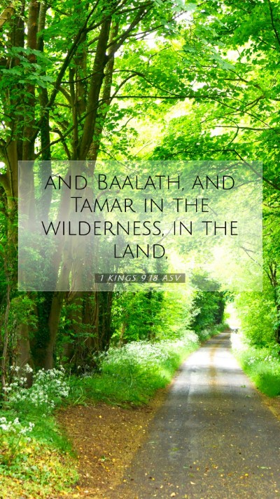 Picture 07 - 1 Kings 9:18 ASV Mobile Phone Wallpaper - and Baalath, and Tamar in the wilderness, in the - Mobile Bible Verse Wallpaper