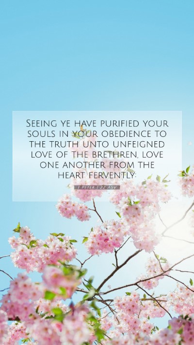 Picture 07 - 1 Peter 1:22 ASV Mobile Phone Wallpaper - Seeing ye have purified your souls in your - Mobile Bible Verse Wallpaper