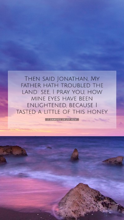 Picture 07 - 1 Samuel 14:29 ASV Mobile Phone Wallpaper - Then said Jonathan, My father hath troubled the - Mobile Bible Verse Wallpaper