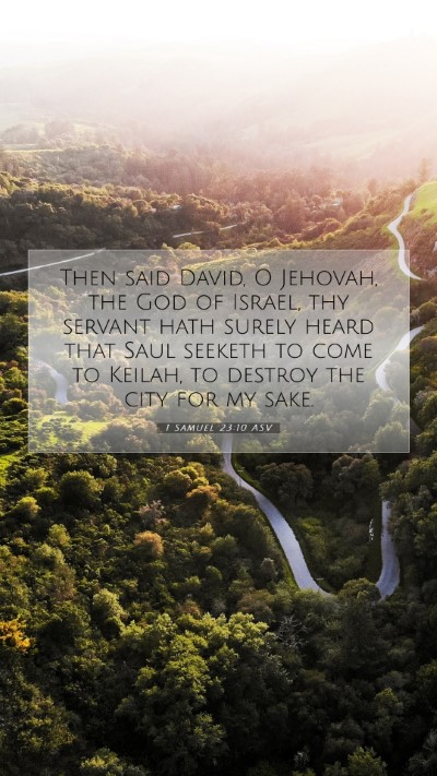 Picture 07 - 1 Samuel 23:10 ASV Mobile Phone Wallpaper - Then said David, O Jehovah, the God of Israel, - Mobile Bible Verse Wallpaper