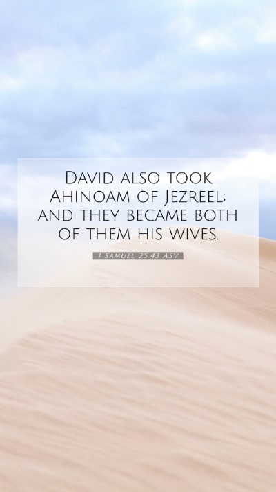 Picture 07 - 1 Samuel 25:43 ASV Mobile Phone Wallpaper - David also took Ahinoam of Jezreel; and they - Mobile Bible Verse Wallpaper