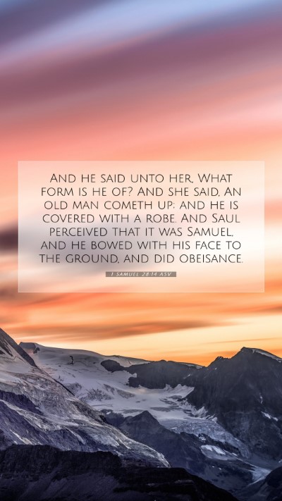 Picture 07 - 1 Samuel 28:14 ASV Mobile Phone Wallpaper - And he said unto her, What form is he of? And she - Mobile Bible Verse Wallpaper