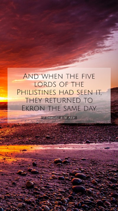 Picture 07 - 1 Samuel 6:16 ASV Mobile Phone Wallpaper - And when the five lords of the Philistines had - Mobile Bible Verse Wallpaper