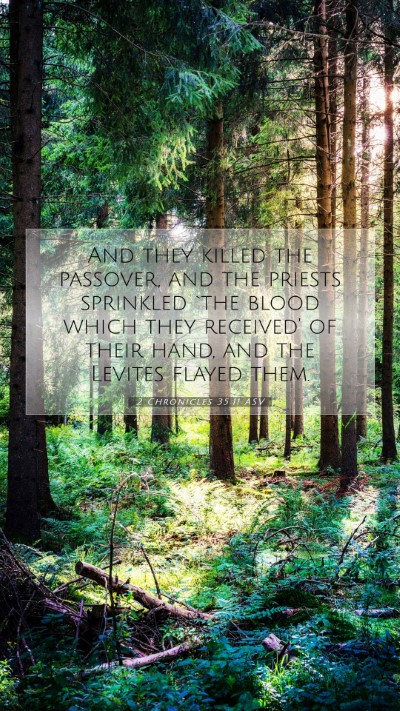 Picture 07 - 2 Chronicles 35:11 ASV Mobile Phone Wallpaper - And they killed the passover, and the priests - Mobile Bible Verse Wallpaper