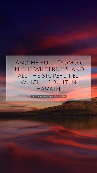 Picture 07 - 2 Chronicles 8:4 ASV Mobile Phone Wallpaper - And he built Tadmor in the wilderness, and all - Mobile Bible Verse Wallpaper