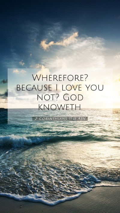 Picture 07 - 2 Corinthians 11:11 ASV Mobile Phone Wallpaper - Wherefore? because I love you not? God - Mobile Bible Verse Wallpaper