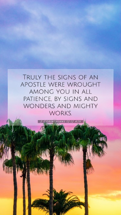 Picture 07 - 2 Corinthians 12:12 ASV Mobile Phone Wallpaper - Truly the signs of an apostle were wrought among - Mobile Bible Verse Wallpaper