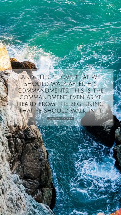 Picture 07 - 2 John 1:6 ASV Mobile Phone Wallpaper - And this is love, that we should walk after his - Mobile Bible Verse Wallpaper
