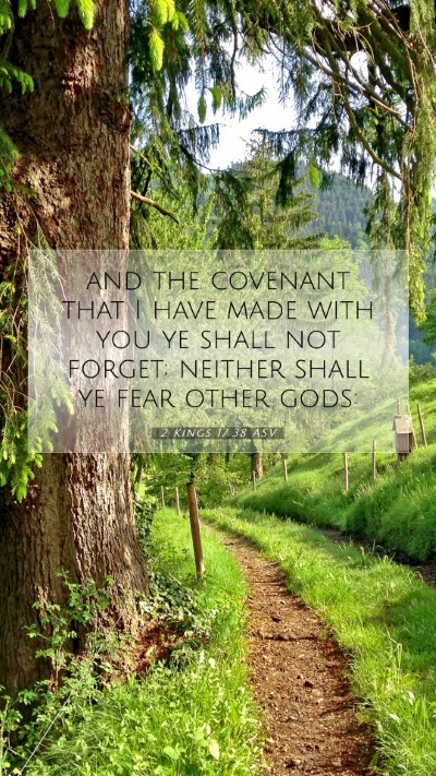 Picture 07 - 2 Kings 17:38 ASV Mobile Phone Wallpaper - and the covenant that I have made with you ye - Mobile Bible Verse Wallpaper