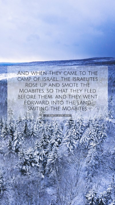 Picture 07 - 2 Kings 3:24 ASV Mobile Phone Wallpaper - And when they came to the camp of Israel, the - Mobile Bible Verse Wallpaper