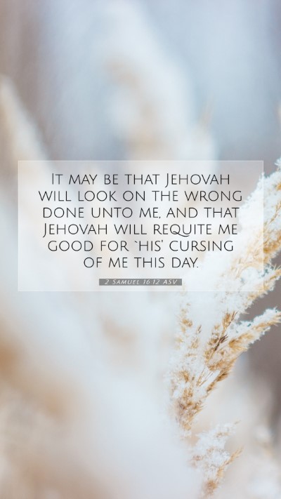 Picture 07 - 2 Samuel 16:12 ASV Mobile Phone Wallpaper - It may be that Jehovah will look on the wrong - Mobile Bible Verse Wallpaper