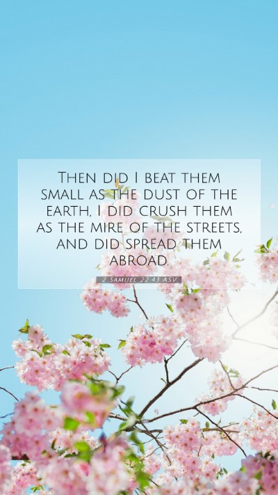 Picture 07 - 2 Samuel 22:43 ASV Mobile Phone Wallpaper - Then did I beat them small as the dust of the - Mobile Bible Verse Wallpaper