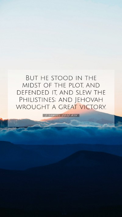 Picture 07 - 2 Samuel 23:12 ASV Mobile Phone Wallpaper - But he stood in the midst of the plot, and - Mobile Bible Verse Wallpaper
