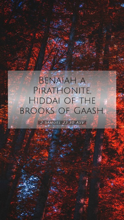 Picture 07 - 2 Samuel 23:30 ASV Mobile Phone Wallpaper - Benaiah a Pirathonite, Hiddai of the brooks of - Mobile Bible Verse Wallpaper