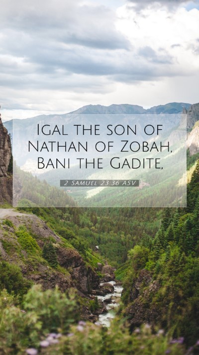 Picture 07 - 2 Samuel 23:36 ASV Mobile Phone Wallpaper - Igal the son of Nathan of Zobah, Bani the - Mobile Bible Verse Wallpaper
