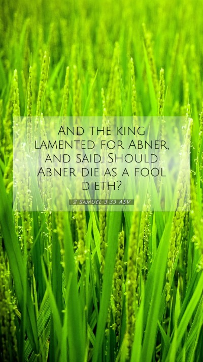 Picture 07 - 2 Samuel 3:33 ASV Mobile Phone Wallpaper - And the king lamented for Abner, and said, Should - Mobile Bible Verse Wallpaper