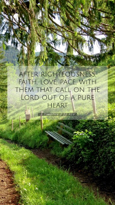Picture 07 - 2 Timothy 2:22 ASV Mobile Phone Wallpaper - after righteousness, faith, love, pace, with them - Mobile Bible Verse Wallpaper