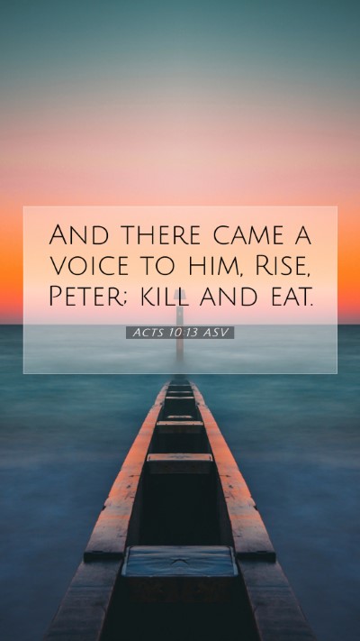Picture 07 - Acts 10:13 ASV Mobile Phone Wallpaper - And there came a voice to him, Rise, Peter; kill - Mobile Bible Verse Wallpaper