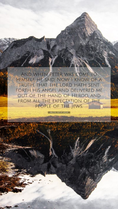 Picture 07 - Acts 12:11 ASV Mobile Phone Wallpaper - And when Peter was come to himself, he said, Now - Mobile Bible Verse Wallpaper
