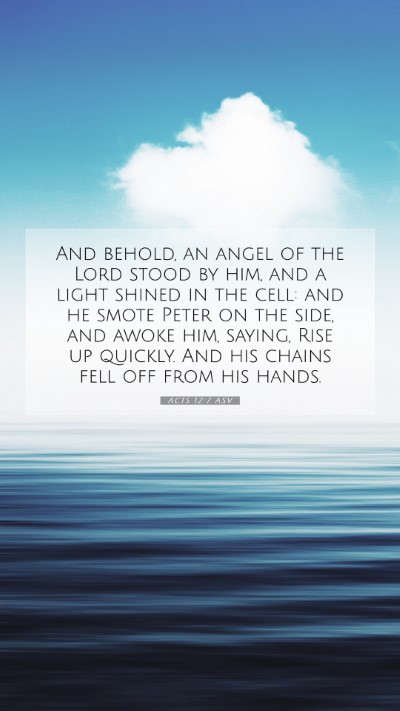 Picture 07 - Acts 12:7 ASV Mobile Phone Wallpaper - And behold, an angel of the Lord stood by him, - Mobile Bible Verse Wallpaper