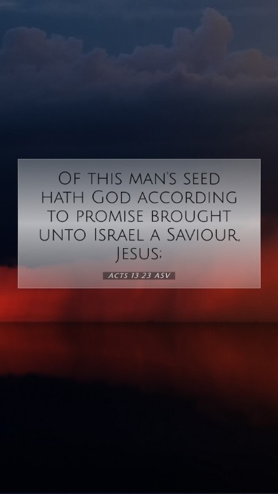 Picture 07 - Acts 13:23 ASV Mobile Phone Wallpaper - Of this man's seed hath God according to promise - Mobile Bible Verse Wallpaper