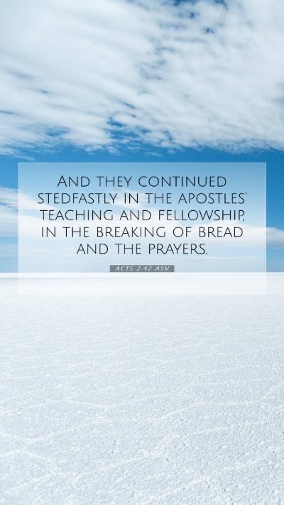 Picture 07 - Acts 2:42 ASV Mobile Phone Wallpaper - And they continued stedfastly in the apostles' - Mobile Bible Verse Wallpaper