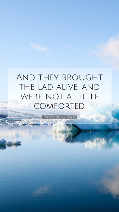 Picture 07 - Acts 20:12 ASV Mobile Phone Wallpaper - And they brought the lad alive, and were not a - Mobile Bible Verse Wallpaper