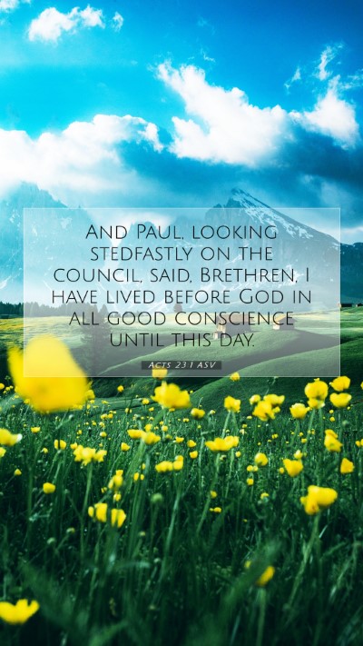 Picture 07 - Acts 23:1 ASV Mobile Phone Wallpaper - And Paul, looking stedfastly on the council, - Mobile Bible Verse Wallpaper