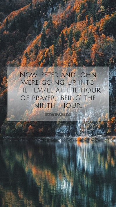 Picture 07 - Acts 3:1 ASV Mobile Phone Wallpaper - Now Peter and John were going up into the temple - Mobile Bible Verse Wallpaper