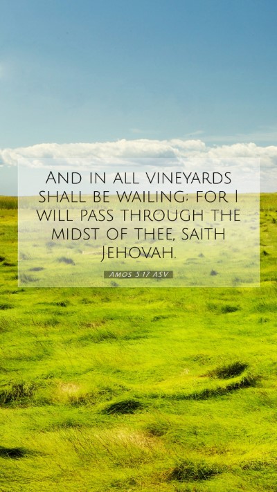 Picture 07 - Amos 5:17 ASV Mobile Phone Wallpaper - And in all vineyards shall be wailing; for I will - Mobile Bible Verse Wallpaper