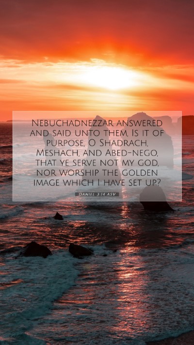 Picture 07 - Daniel 3:14 ASV Mobile Phone Wallpaper - Nebuchadnezzar answered and said unto them, Is it - Mobile Bible Verse Wallpaper