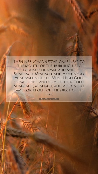 Picture 07 - Daniel 3:26 ASV Mobile Phone Wallpaper - Then Nebuchadnezzar came near to the mouth of the - Mobile Bible Verse Wallpaper