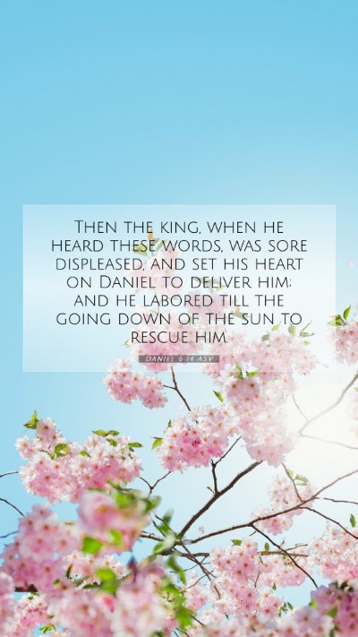 Picture 07 - Daniel 6:14 ASV Mobile Phone Wallpaper - Then the king, when he heard these words, was - Mobile Bible Verse Wallpaper