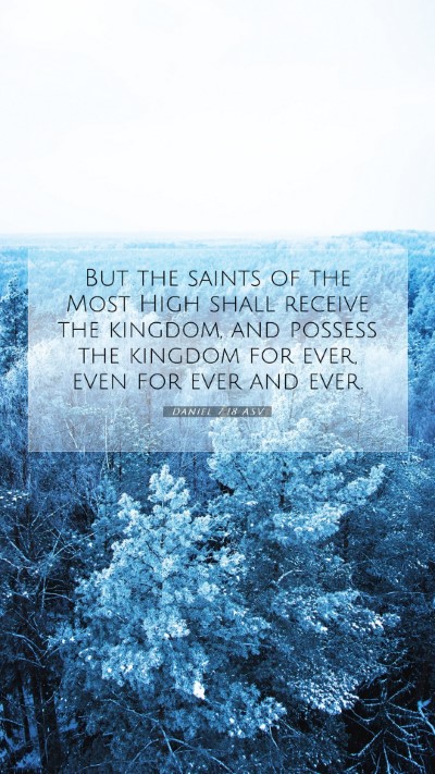 Picture 07 - Daniel 7:18 ASV Mobile Phone Wallpaper - But the saints of the Most High shall receive the - Mobile Bible Verse Wallpaper