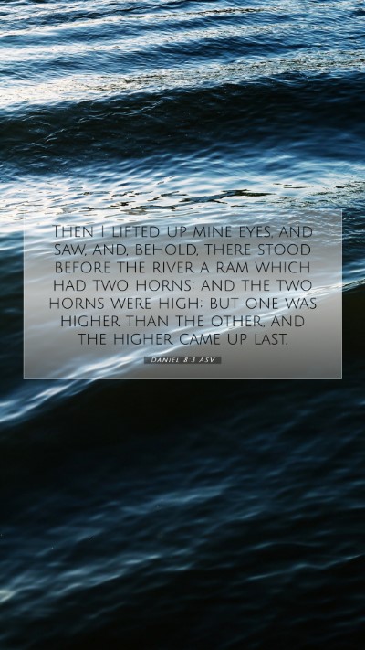 Picture 07 - Daniel 8:3 ASV Mobile Phone Wallpaper - Then I lifted up mine eyes, and saw, and, behold, - Mobile Bible Verse Wallpaper