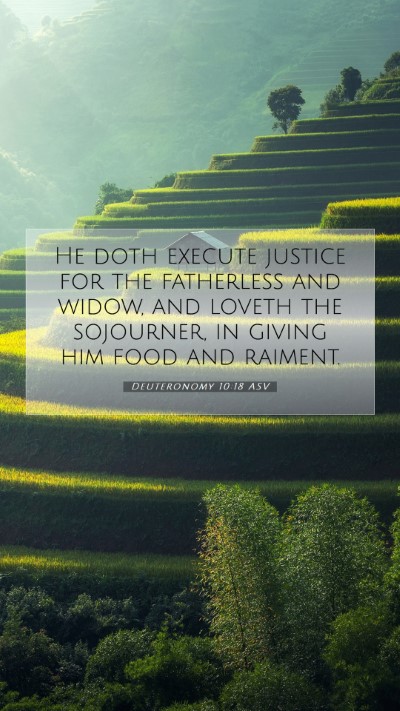 Picture 07 - Deuteronomy 10:18 ASV Mobile Phone Wallpaper - He doth execute justice for the fatherless and - Mobile Bible Verse Wallpaper