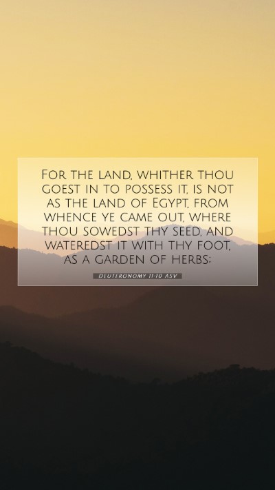 Picture 07 - Deuteronomy 11:10 ASV Mobile Phone Wallpaper - For the land, whither thou goest in to possess - Mobile Bible Verse Wallpaper