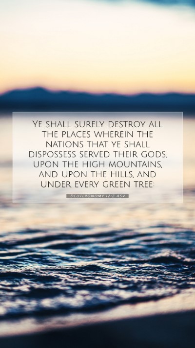 Picture 07 - Deuteronomy 12:2 ASV Mobile Phone Wallpaper - Ye shall surely destroy all the places wherein - Mobile Bible Verse Wallpaper