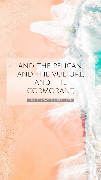 Picture 07 - Deuteronomy 14:17 ASV Mobile Phone Wallpaper - and the pelican, and the vulture, and the - Mobile Bible Verse Wallpaper