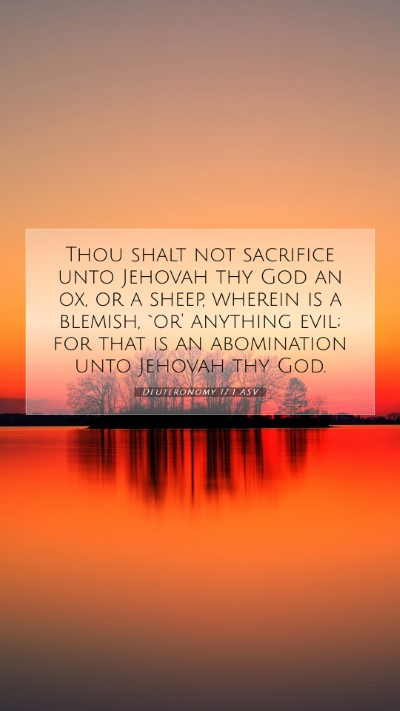 Picture 07 - Deuteronomy 17:1 ASV Mobile Phone Wallpaper - Thou shalt not sacrifice unto Jehovah thy God an - Mobile Bible Verse Wallpaper