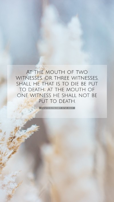 Picture 07 - Deuteronomy 17:6 ASV Mobile Phone Wallpaper - At the mouth of two witnesses, or three - Mobile Bible Verse Wallpaper