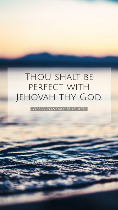 Picture 07 - Deuteronomy 18:13 ASV Mobile Phone Wallpaper - Thou shalt be perfect with Jehovah thy - Mobile Bible Verse Wallpaper
