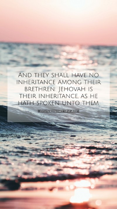 Picture 07 - Deuteronomy 18:2 ASV Mobile Phone Wallpaper - And they shall have no inheritance among their - Mobile Bible Verse Wallpaper
