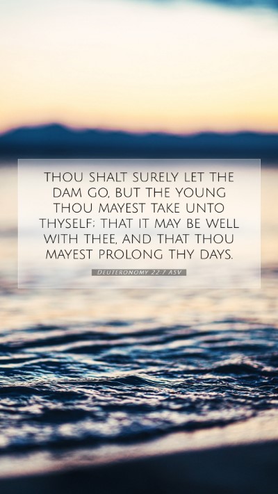 Picture 07 - Deuteronomy 22:7 ASV Mobile Phone Wallpaper - thou shalt surely let the dam go, but the young - Mobile Bible Verse Wallpaper