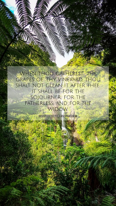 Picture 07 - Deuteronomy 24:21 ASV Mobile Phone Wallpaper - When thou gatherest `the grapes of' thy vineyard, - Mobile Bible Verse Wallpaper