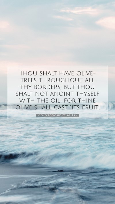 Picture 07 - Deuteronomy 28:40 ASV Mobile Phone Wallpaper - Thou shalt have olive-trees throughout all thy - Mobile Bible Verse Wallpaper