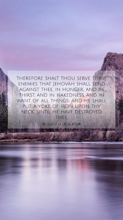 Picture 07 - Deuteronomy 28:48 ASV Mobile Phone Wallpaper - therefore shalt thou serve thine enemies that - Mobile Bible Verse Wallpaper